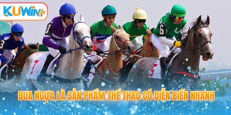 Đua ngựa là sản phẩm thể thao có diễn biến nhanh