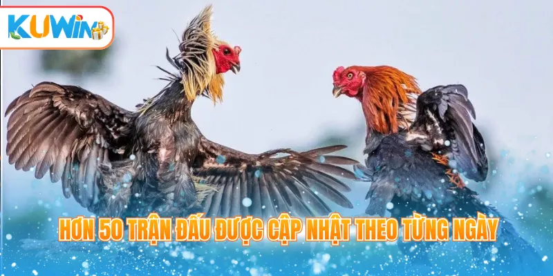 Hơn 50 trận đấu được cập nhật theo từng ngày