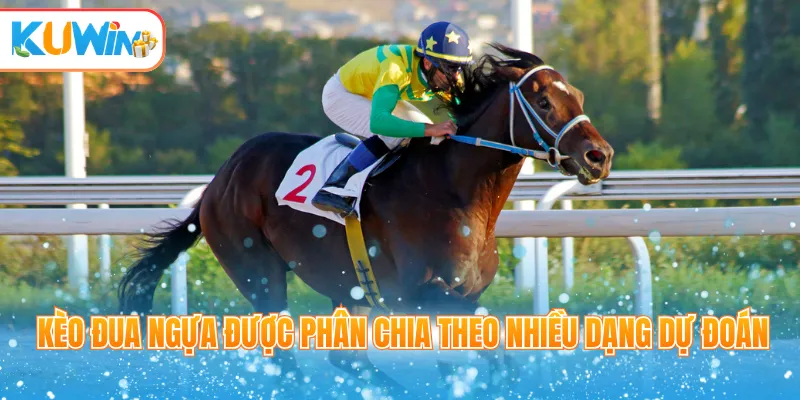 Kèo đua ngựa được phân chia theo nhiều dạng dự đoán